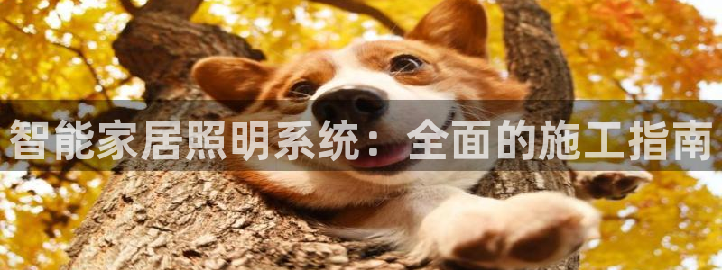 智能家居照明系统：全面的施工指南