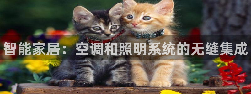 智能家居：空调和照明系统的无缝集成