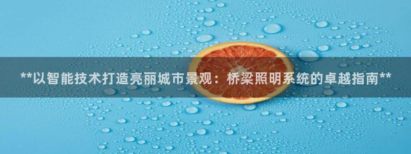 **以智能技术打造亮丽城市景观：桥梁照明系统的卓越指南**