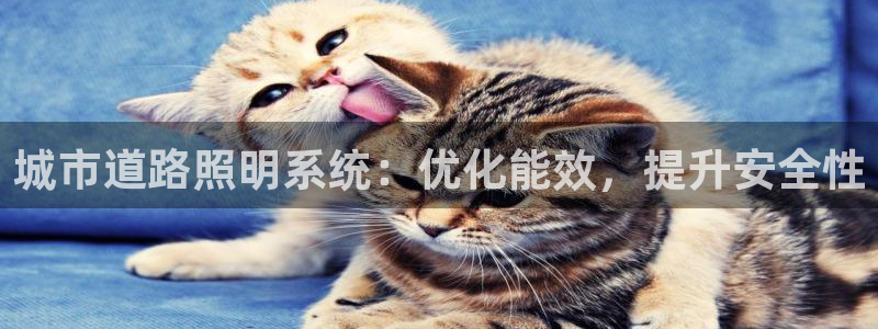 城市道路照明系统：优化能效，提升安全性