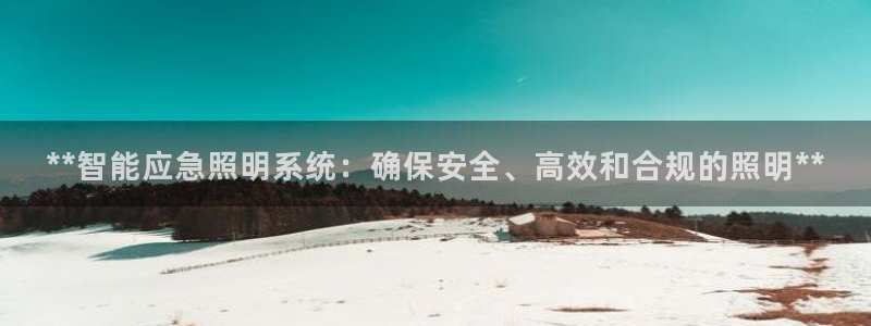 **智能应急照明系统：确保安全、高效和合规的照明**