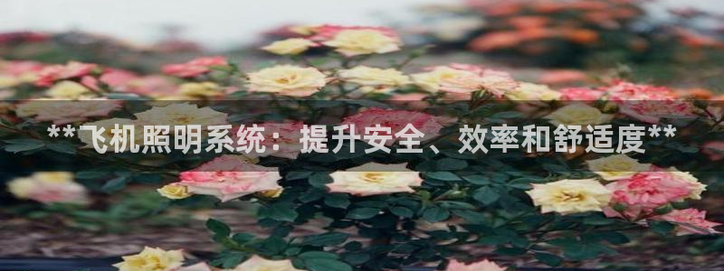 **飞机照明系统：提升安全、效率和舒适度**