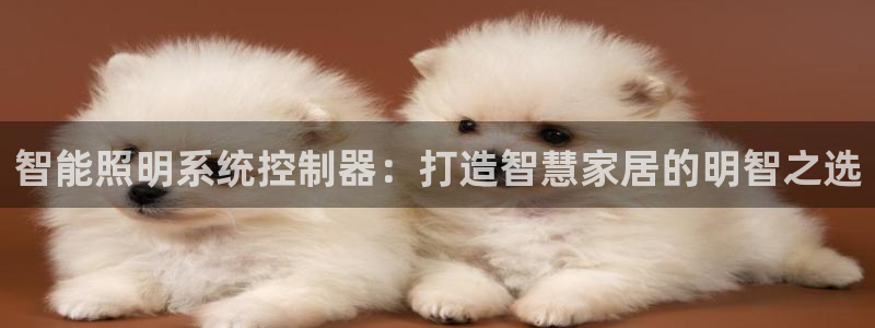 智能照明系统控制器：打造智慧家居的明智之选