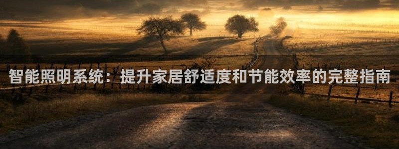 智能照明系统：提升家居舒适度和节能效率的完整指南