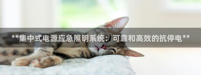 **集中式电源应急照明系统:可靠和高效的抗停电**