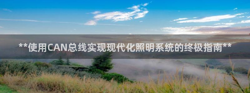 **使用CAN总线实现现代化照明系统的终极指南**