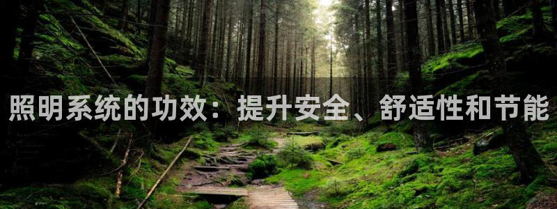 照明系统的功效：提升安全、舒适性和节能