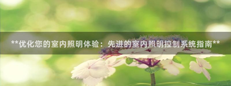 **优化您的室内照明体验:先进的室内照明控制系统指南**
