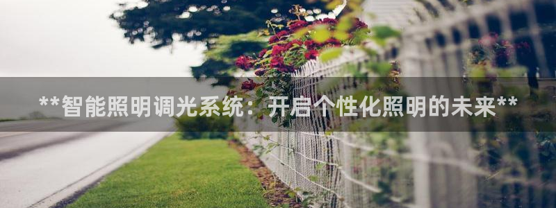 **智能照明调光系统：开启个性化照明的未来**