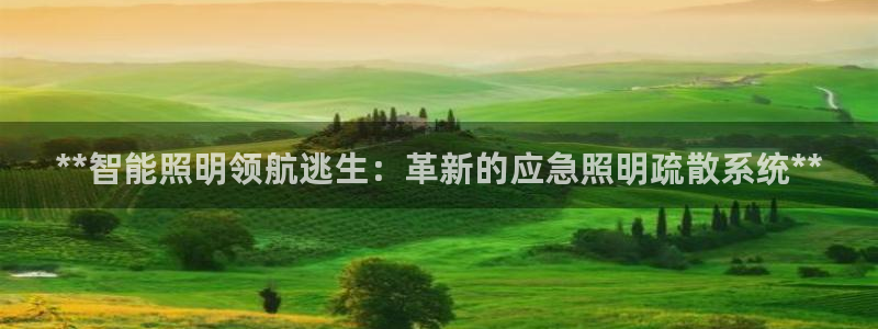 **智能照明领航逃生：革新的应急照明疏散系统**