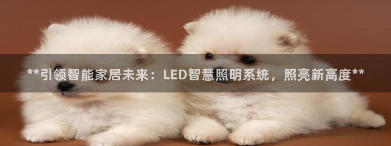 **引领智能家居未来:LED智慧照明系统,照亮新高度**