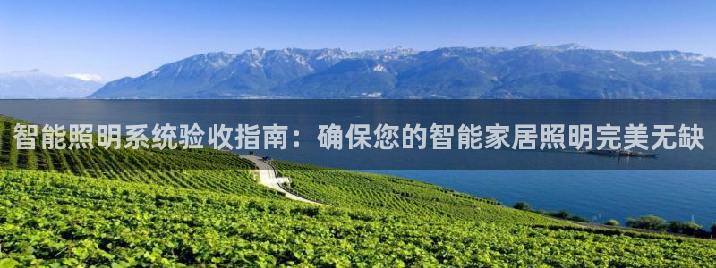 智能照明系统验收指南：确保您的智能家居照明完美无缺