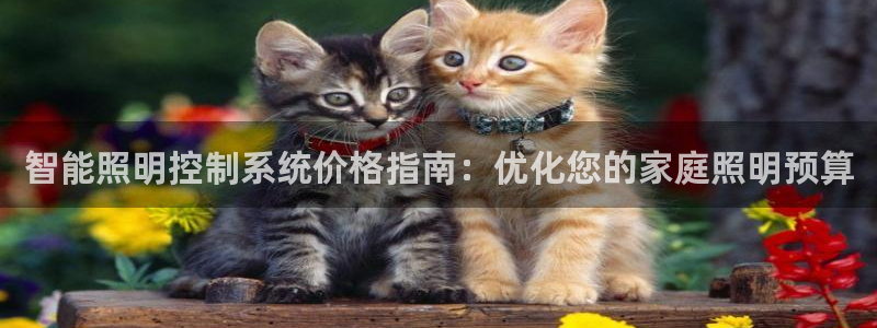 智能照明控制系统价格指南：优化您的家庭照明预算