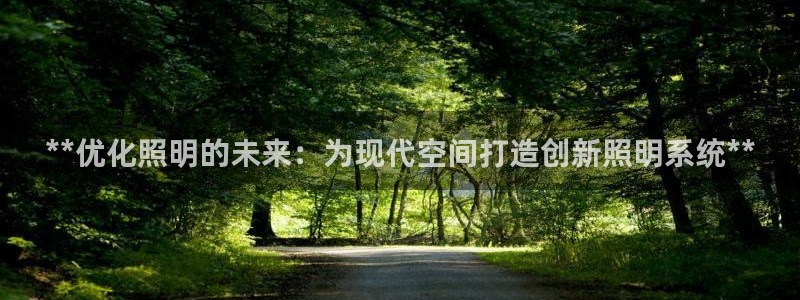 **优化照明的未来：为现代空间打造创新照明系统**