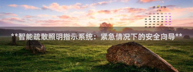 **智能疏散照明指示系统：紧急情况下的安全向导**