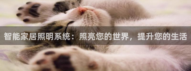 智能家居照明系统：照亮您的世界，提升您的生活