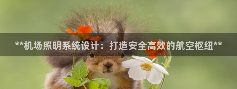 **机场照明系统设计：打造安全高效的航空枢纽**