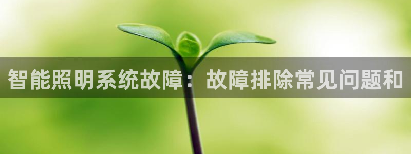 智能照明系统故障：故障排除常见问题和