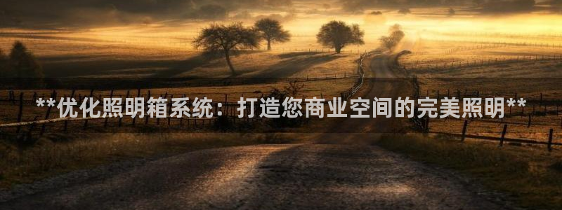 **优化照明箱系统：打造您商业空间的完美照明**