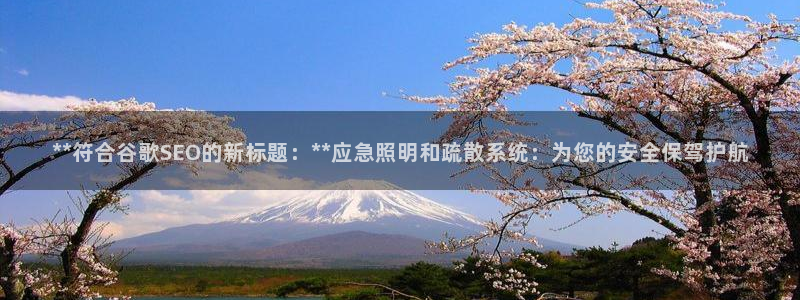 **符合谷歌SEO的新标题:**应急照明和疏散系统:为您的安全保驾护航