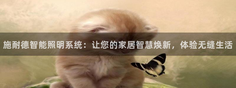 施耐德智能照明系统：让您的家居智慧焕新，体验无缝生活