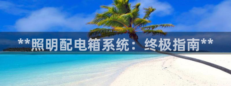 **照明配电箱系统：终极指南**
