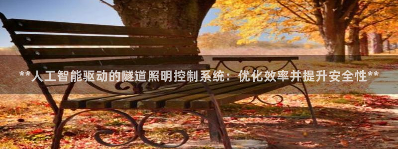**人工智能驱动的隧道照明控制系统：优化效率并提升安全性**
