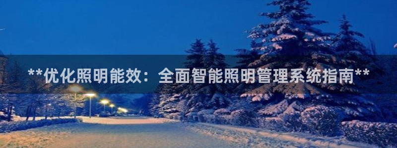 **优化照明能效：全面智能照明管理系统指南**