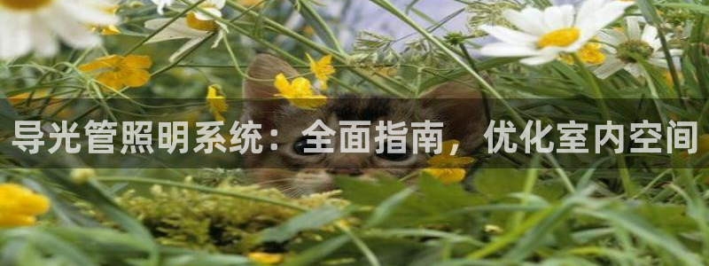导光管照明系统：全面指南，优化室内空间