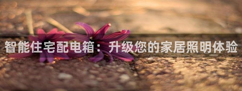 智能住宅配电箱：升级您的家居照明体验