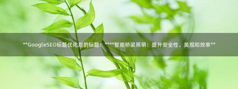 **GoogleSEO标题优化后的标题：****智能桥梁照明：提升安全性、美观和效率**