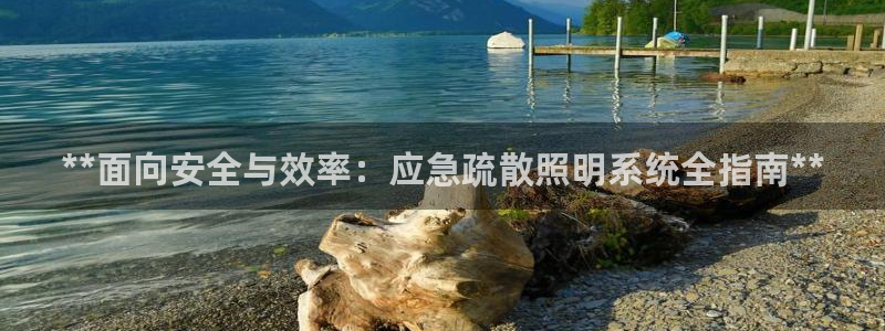 **面向安全与效率：应急疏散照明系统全指南**