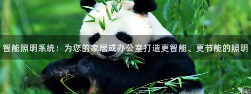 智能照明系统：为您的家居或办公室打造更智能、更节能的照明