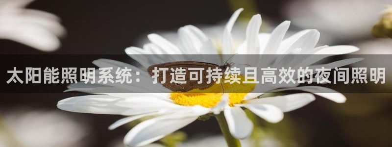 太阳能照明系统：打造可持续且高效的夜间照明