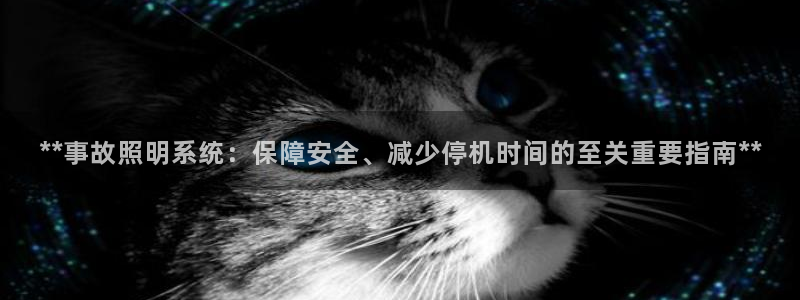 **事故照明系统：保障安全、减少停机时间的至关重要指南**