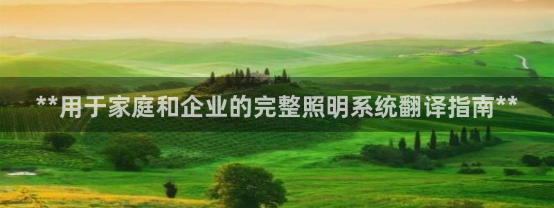 **用于家庭和企业的完整照明系统翻译指南**