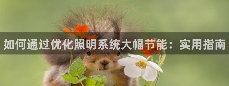 如何通过优化照明系统大幅节能：实用指南