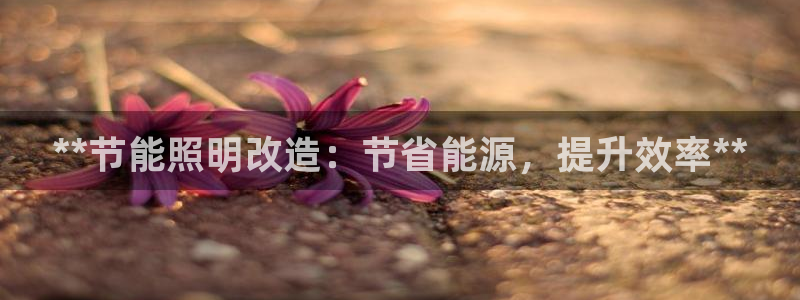**节能照明改造：节省能源，提升效率**