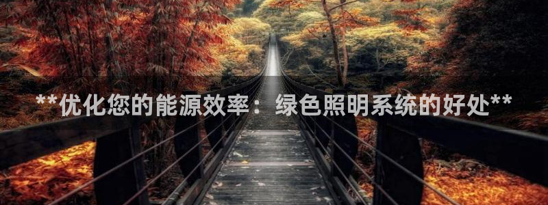 **优化您的能源效率：绿色照明系统的好处**