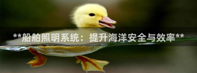 **船舶照明系统：提升海洋安全与效率**