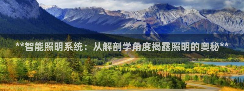 **智能照明系统：从解剖学角度揭露照明的奥秘**