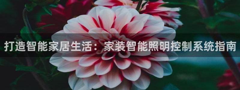 打造智能家居生活：家装智能照明控制系统指南