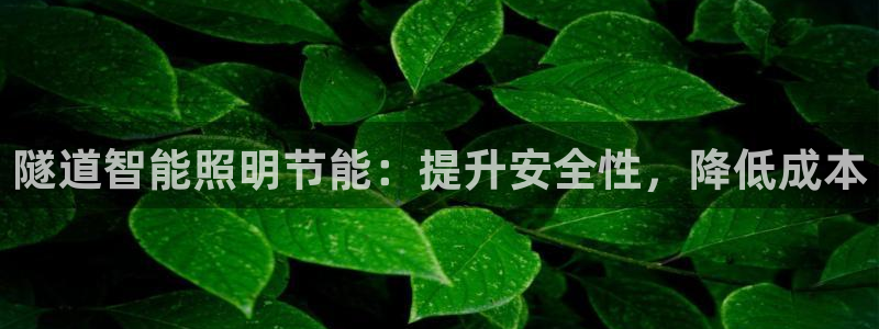 隧道智能照明节能：提升安全性，降低成本