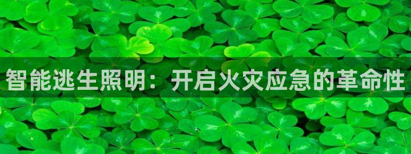 智能逃生照明：开启火灾应急的革命性