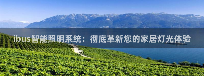ibus智能照明系统：彻底革新您的家居灯光体验