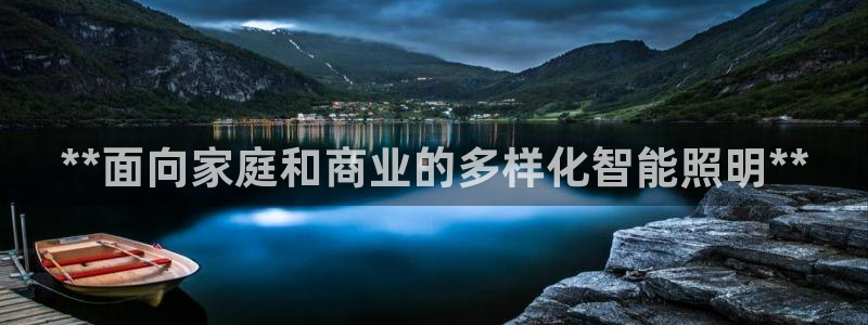 **面向家庭和商业的多样化智能照明**