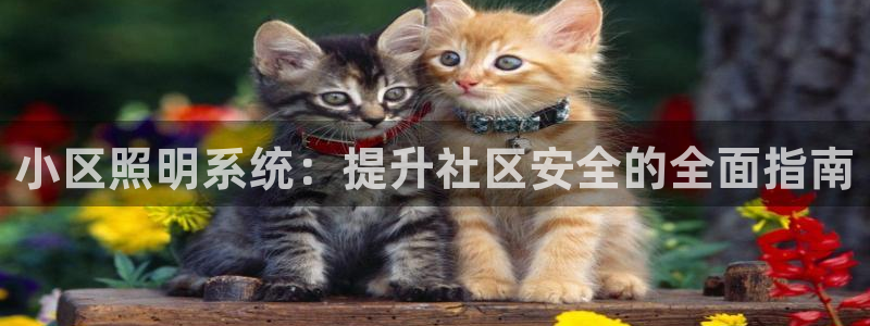 小区照明系统：提升社区安全的全面指南