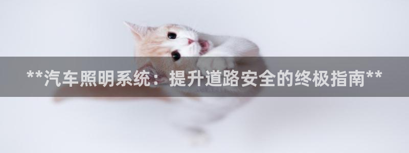 **汽车照明系统：提升道路安全的终极指南**