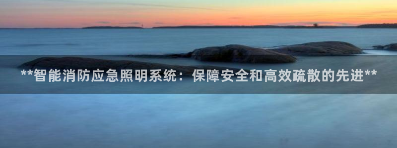 **智能消防应急照明系统：保障安全和高效疏散的先进**