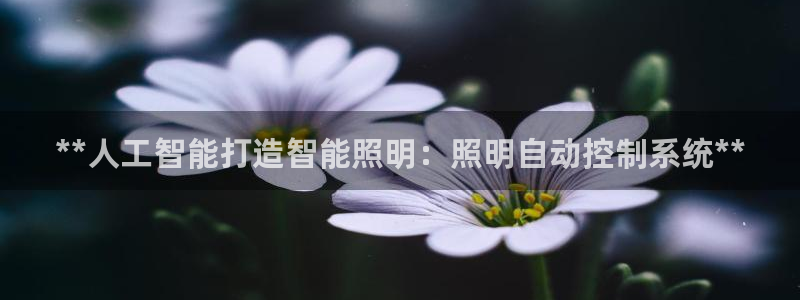 **人工智能打造智能照明：照明自动控制系统**